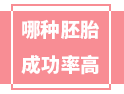 移植哪種胚胎的成功率最高？看完這篇你就知道了！