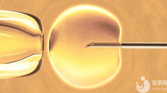 免疫力低，會(huì)不會(huì)影響試管嬰兒的成功率?