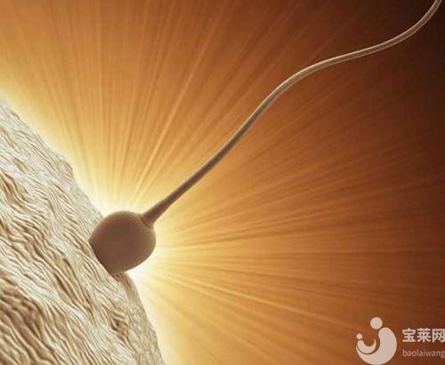 男生弱精？看看這里，讓精子恢復(fù)活力。