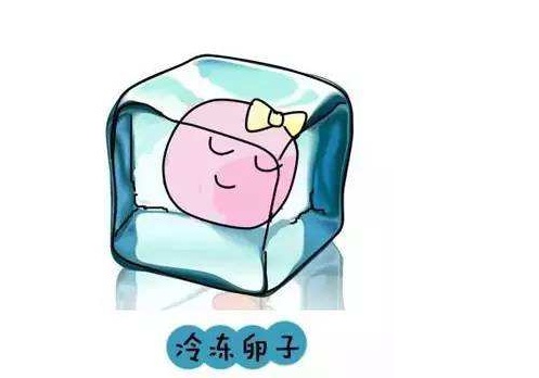 冷凍卵子對女性原來有這些好處！