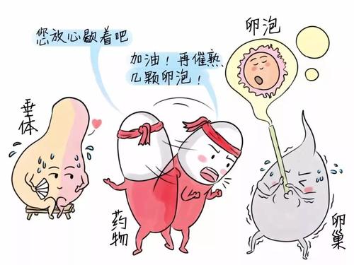 做試管嬰兒治療為什么卵泡會發(fā)育不好？