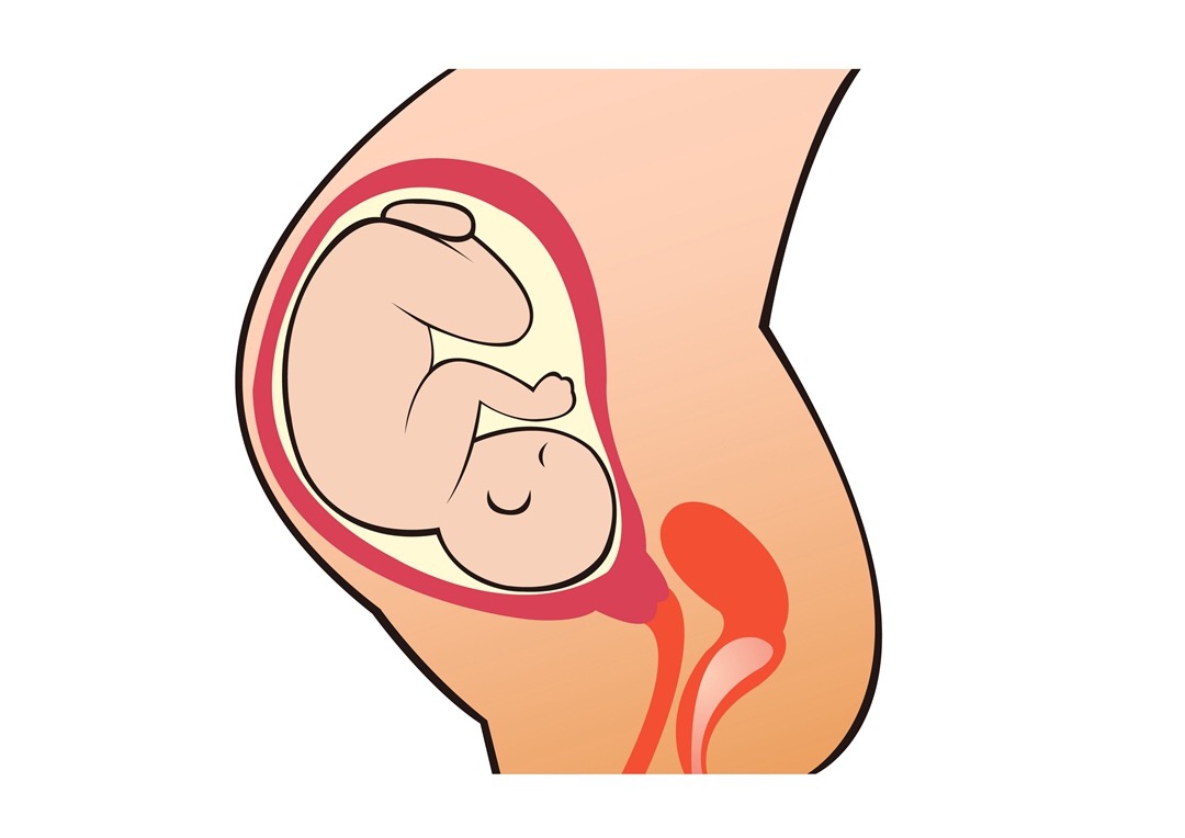 宮腔環(huán)境不好，試管寶寶怎么待？