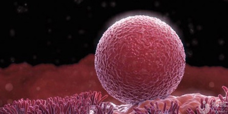 高齡女性的卵子質量不好，如何懷孕？