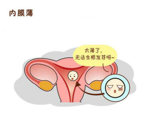 試管嬰兒治療前子宮內(nèi)膜薄要怎么做？