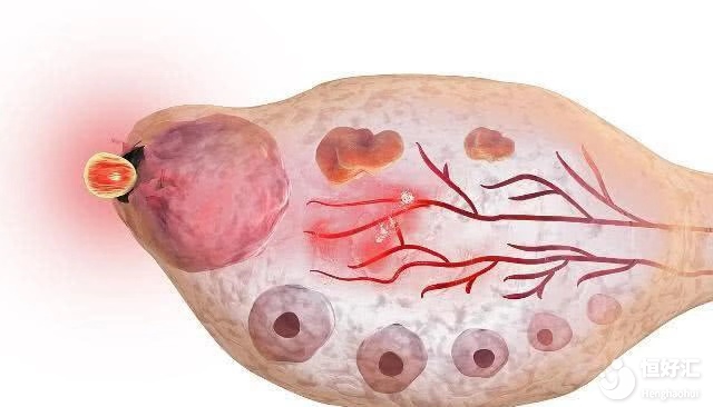 了解女性排卵期，是生育孩子的硬知識！