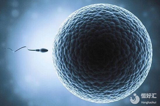 第二次胚胎移植成功率更高嗎？