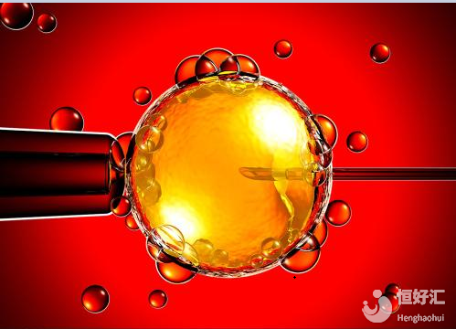 胚胎移植的那些事，你又了解了多少？