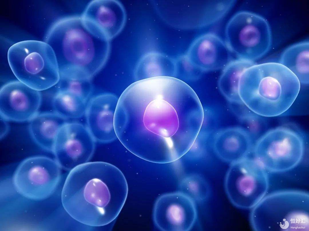 123456......我的胚胎數怎么不等于我的卵泡數？