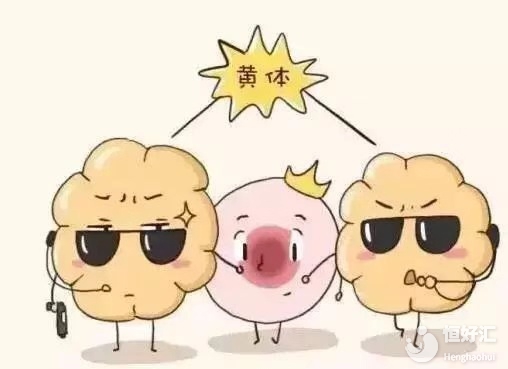 這三個征兆表明，女性的黃體可能不足