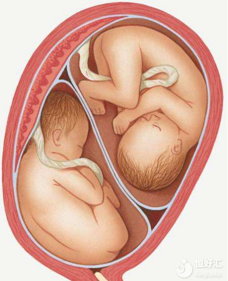 自然周期促排成功率，真的很低嗎？