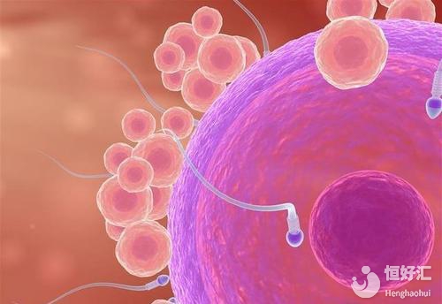 試管嬰兒取卵少，可能跟這3點原因有關(guān)