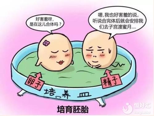 試管嬰兒當(dāng)中，照顧胚胎的“天使”是怎么工作的？