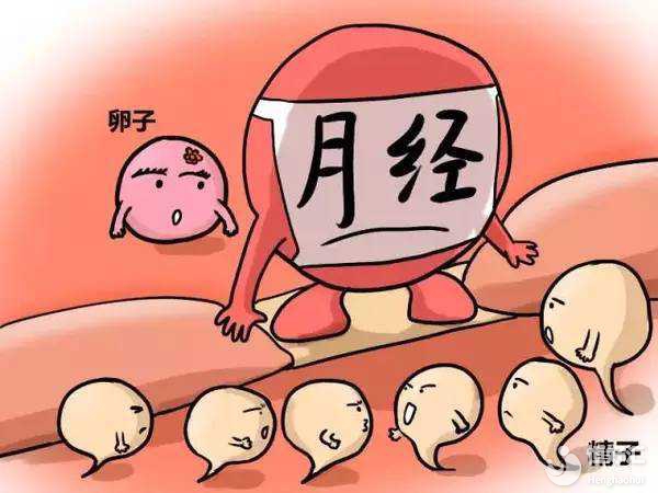 卵泡符合這些要求，容易帶來(lái)“好孕氣”！