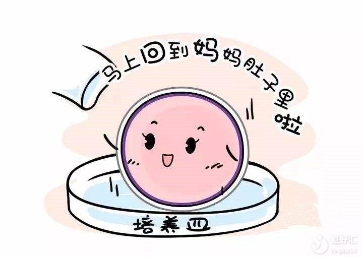 答疑解惑：胚胎種類有哪些？成功率高嗎？