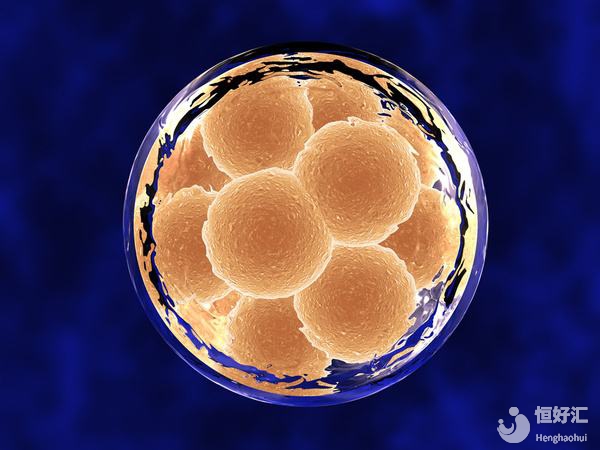 中、美兩國試管嬰兒成功率大對比！究竟哪家強(qiáng)？