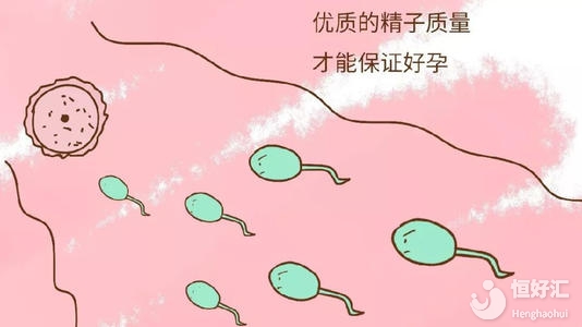 備孕要注意以下事項，著重提高生育力才是重點！