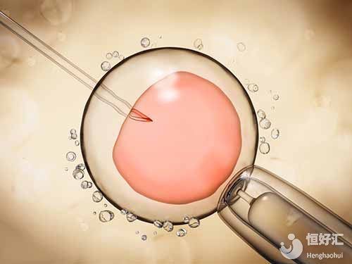 試管嬰兒用大卵泡成功率更高？泰國試管專家這樣說......