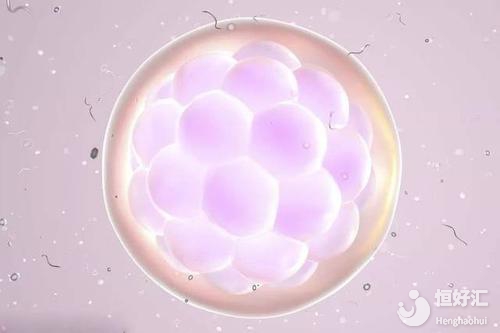 做試管嬰兒還會(huì)有空卵泡的情況？為什么？