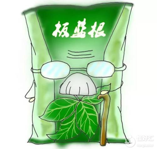備孕感冒怎么辦？試管媽媽可以喝板藍根嗎？