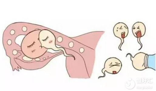 為什么說備孕最少要有三個月的時間？