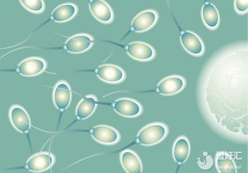 泰國試管嬰兒成功率越高，為何仍有人不愿做？