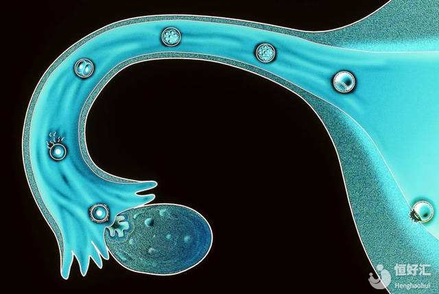 女性不孕不育的檢查項目，請查收?。ㄏ拢? /></a>
	<div   id=