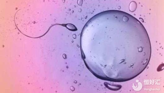 來月經(jīng)就是排卵了？專家：并非如此