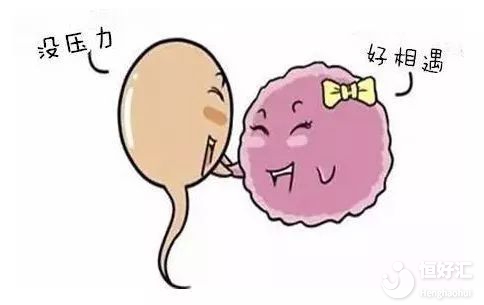 關(guān)于備孕的這3大疑問，你都解決了嗎？