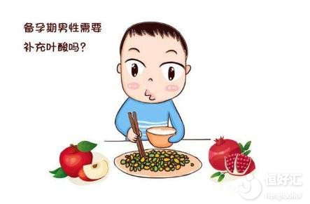 美國試管嬰兒備孕期間，男性要吃葉酸嗎？