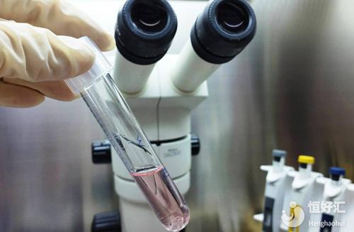 女人多大年齡做湛江試管嬰兒成功率會高一些？