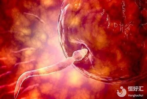 白領女性看過來！掌握這3點訣竅讓你輕松受孕