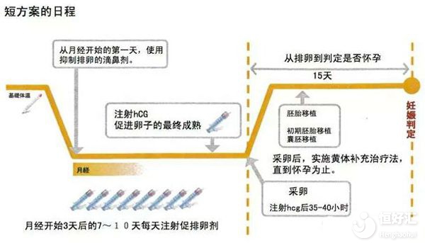 試管短方案促排流程跟用藥經歷，助你好孕！