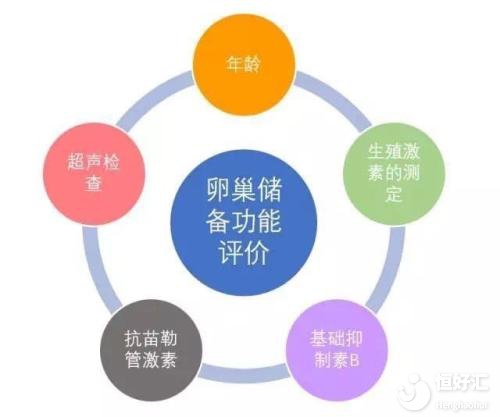 amh檢查步驟講解，做試管嬰兒的前期準備！