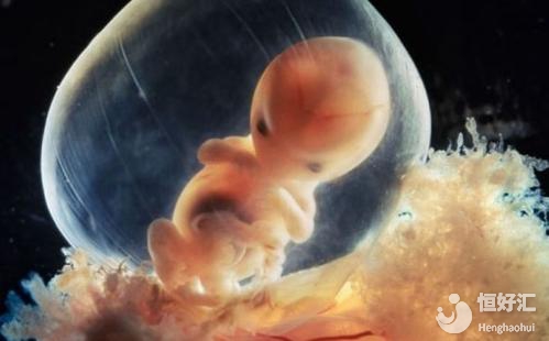 為什么做試管嬰兒，移植后胚胎著床老是失??？