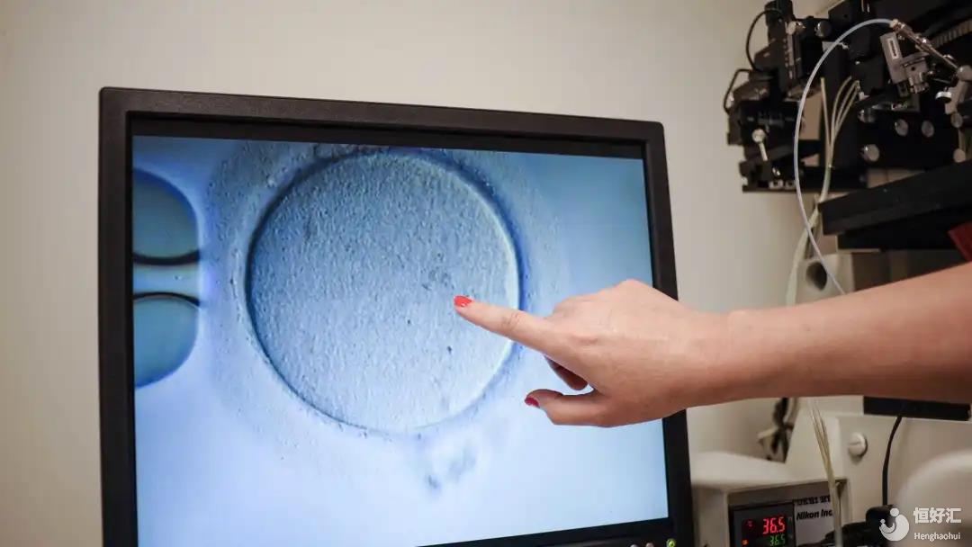 空卵泡和正常卵泡什么區(qū)別？一文就看懂！