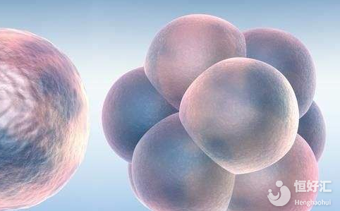 試管嬰兒冷凍胚胎的作用，看完“蠢蠢欲動”！