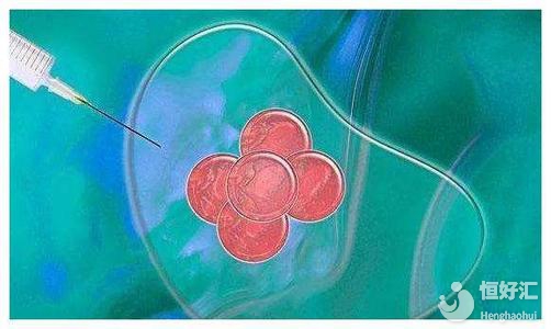 促排期間吃什么比較好？這些食物你值得擁有