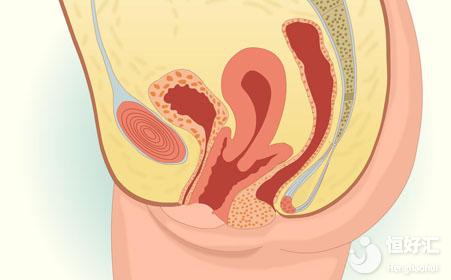 關于子宮后位的那些事兒，你了解了多少？