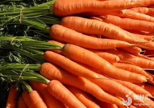 女人40后怎么保養卵巢？吃胡蘿卜是其一！